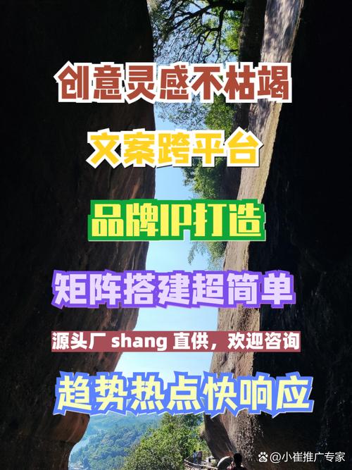 抖音浏览量一百的平台推荐，高效获取业务平台的指南