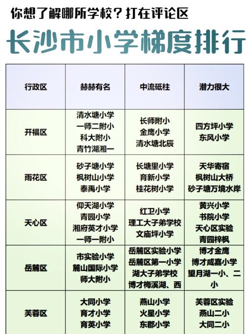 长沙网络排名，你的新焦点？