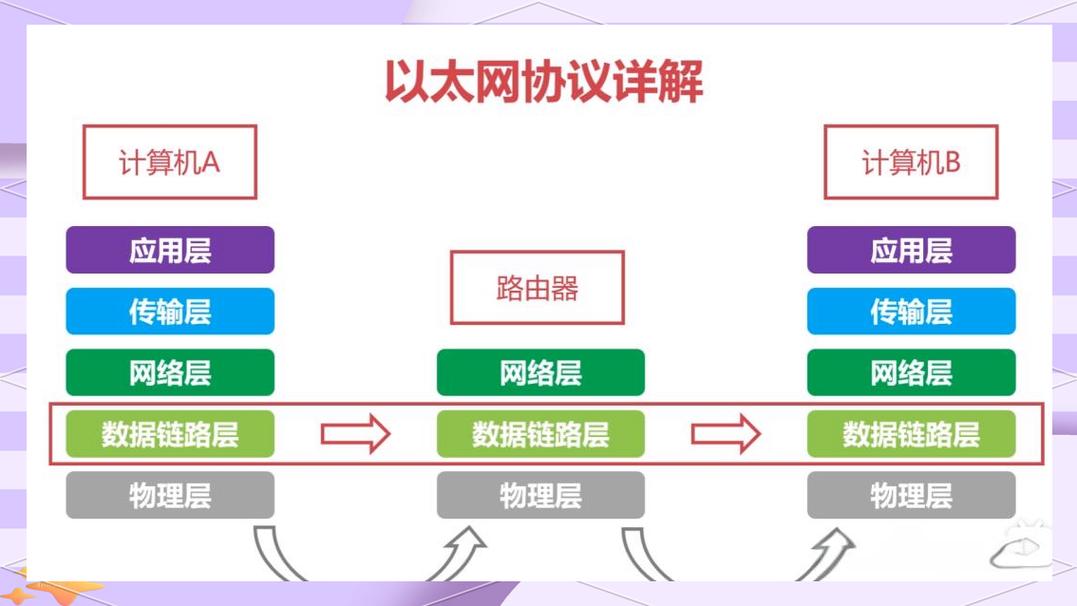 构建高效网络，从基础到应用