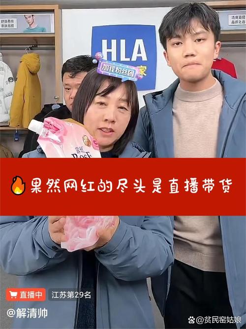 直播带货，dz平台的崛起与dz合作的未来