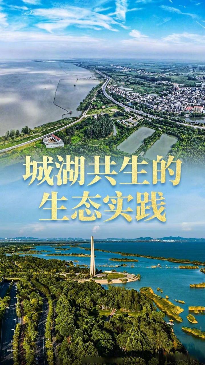 巢湖，网络城市，构建高效网站，从基础到成功