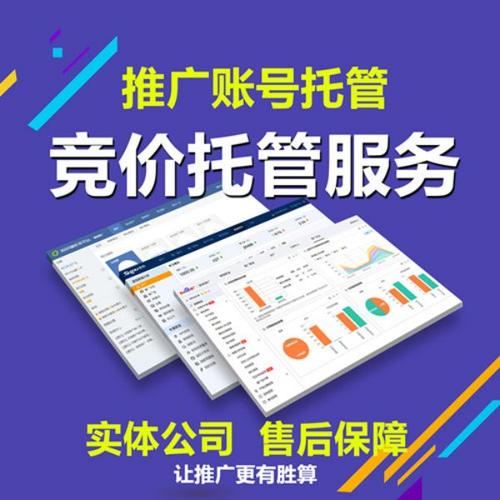 SEM竞价，网络营销的利器与深度策略剖析