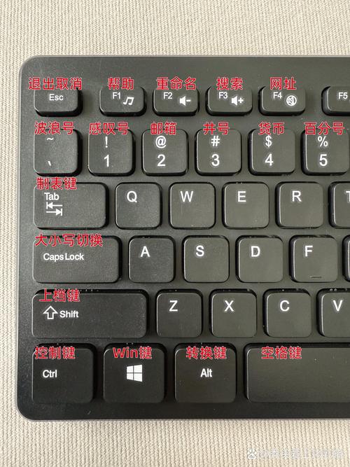 电脑学会快速打字要多久