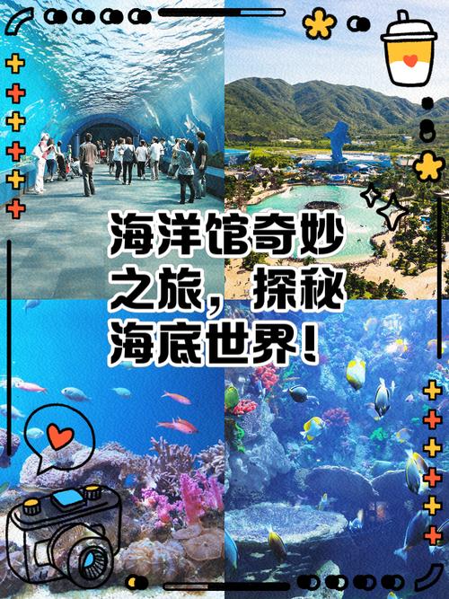 打造魅力海洋馆网站，开启线上海洋探索之旅