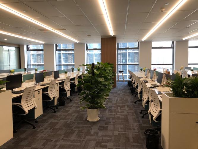 杭州百度公司Ok就找优屏网络