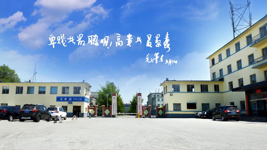 张店政府网站建设公司