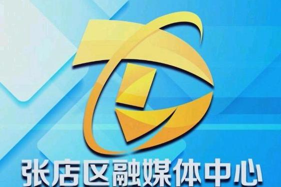 张店政府网站建设公司