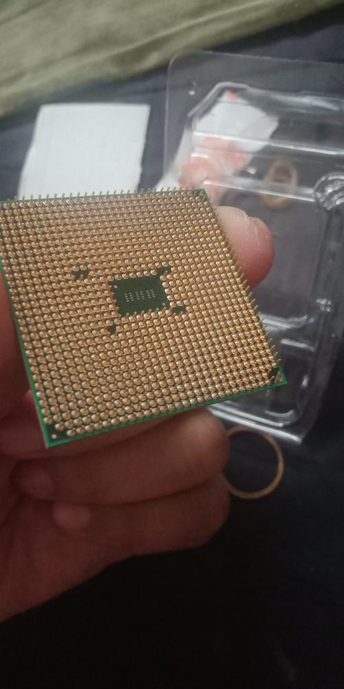 amd支持fm2的cpu有哪些