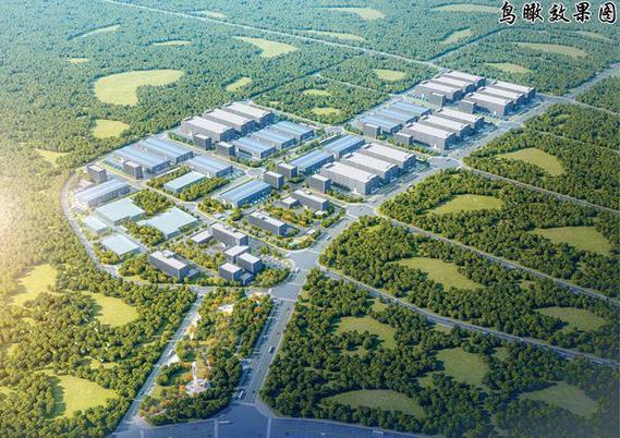 柳城企业网站建设公司