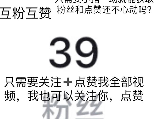 快手一元秒100个赞,ks互赞互粉软件,ks赞平台便宜