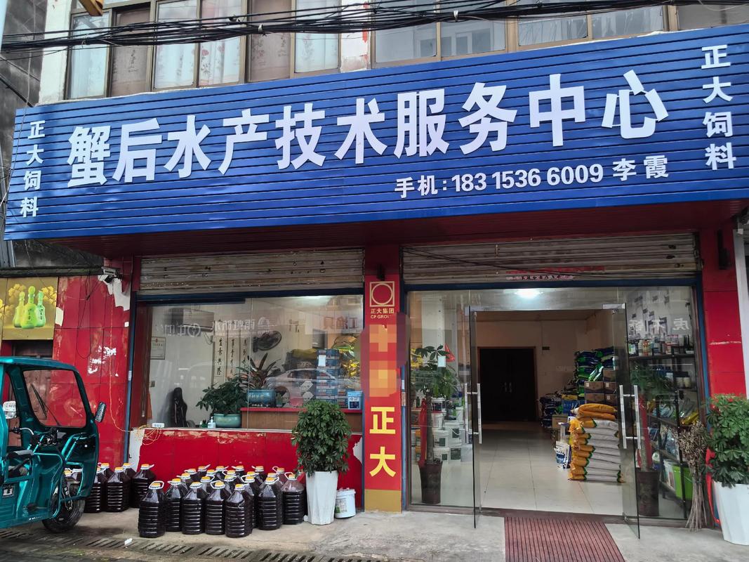 咸宁企业网站建设公司