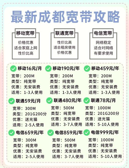 一般网络维护费多少钱