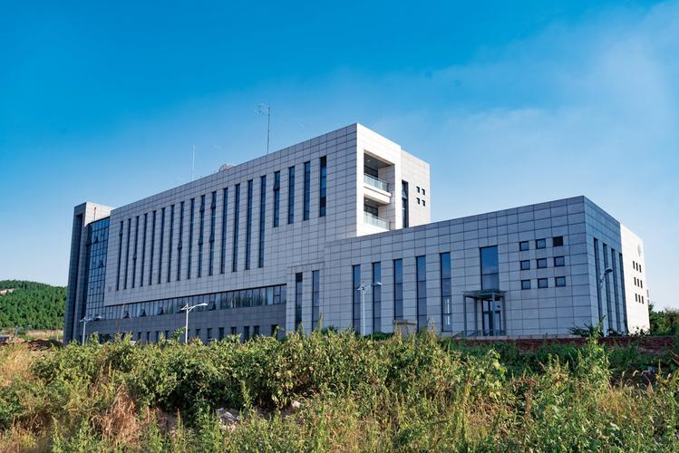 济南建设网站的公司吗