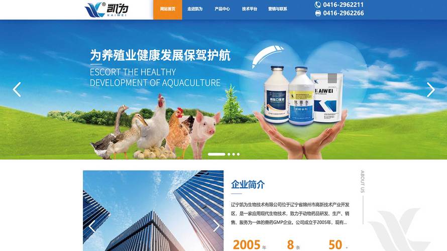 漯河网站建设茂睿科技