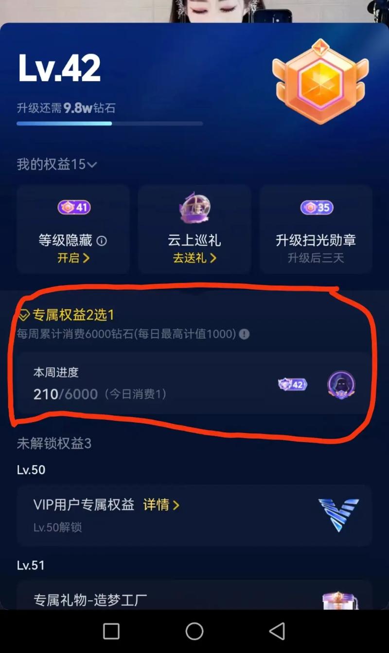 抖音有没有代等级的人,抖音评论双击代,ks点赞