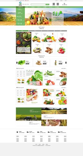 家乡特产网站建设策划书