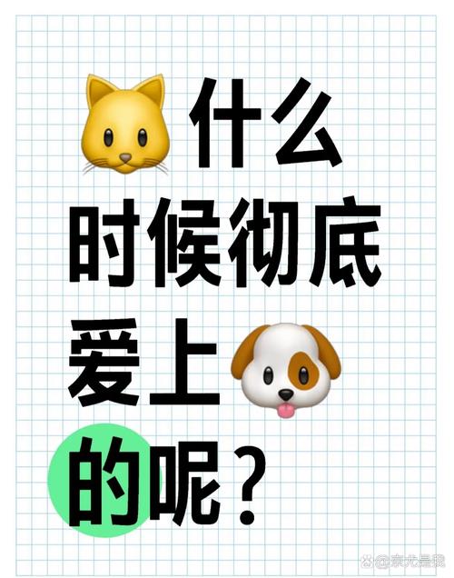 跑jiojio网络流行语什么意思