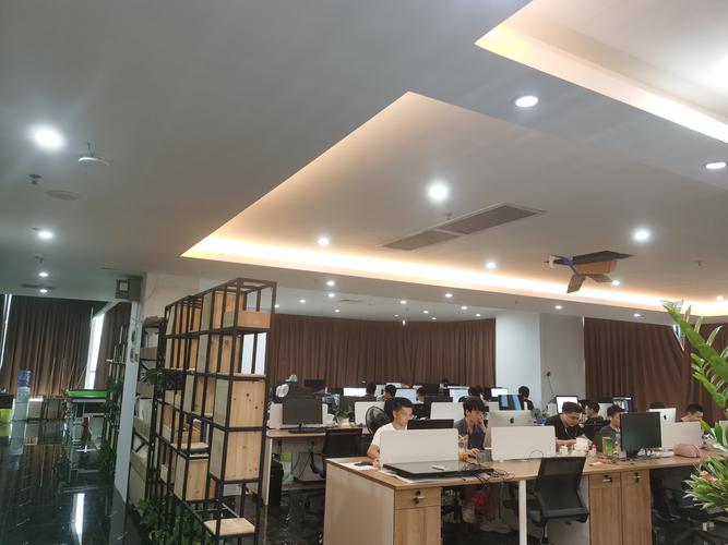 信息网站开发网络公司