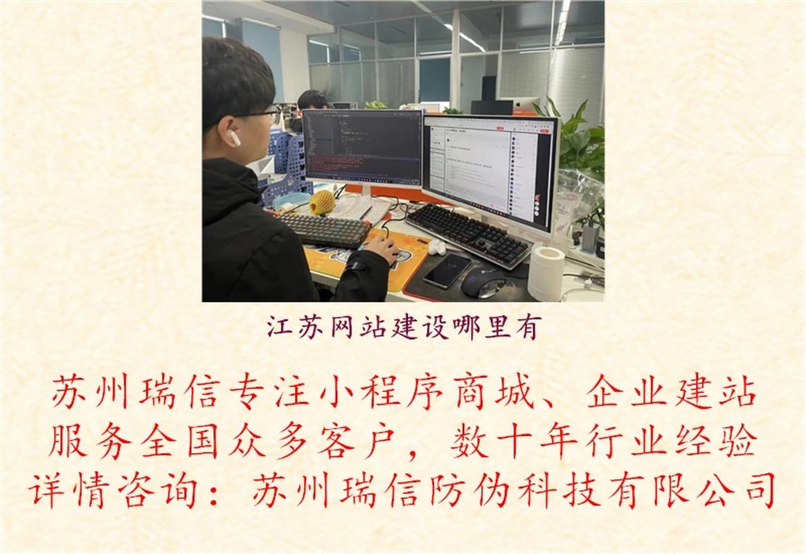 苏州企业网站建设专家