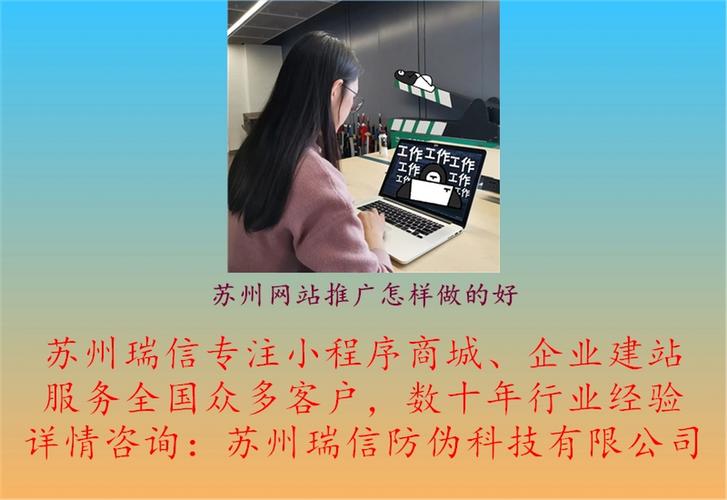 苏州企业网站建设专家