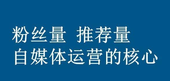 快手假粉丝自助下单平台,快手在线刷业务平台