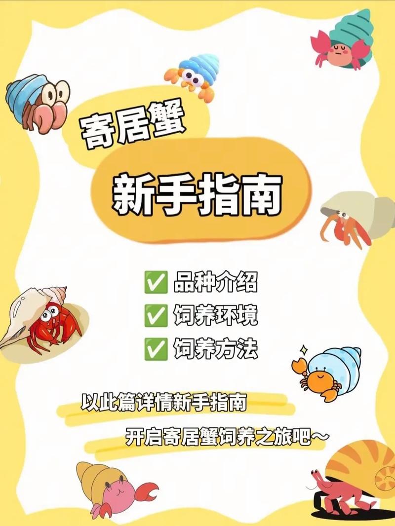 寄居蟹抖音点赞自助平台，抖音快手打赏引流业务