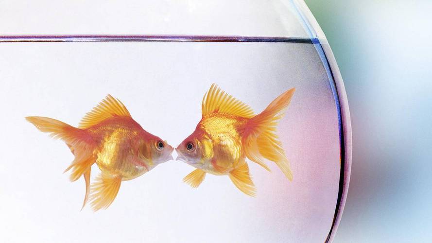 快手秒刷500播放平台,qq快手赞自助下单平台怎么样