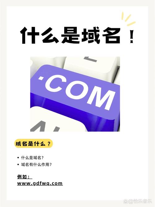 网络二级域名是什么