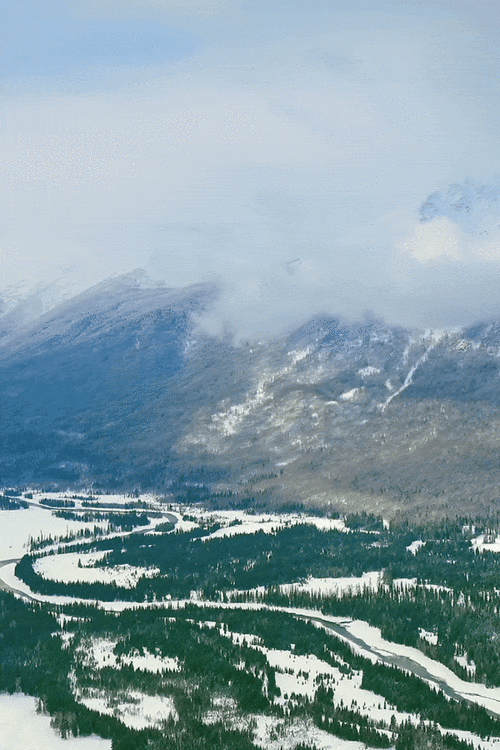 手机动态壁纸电脑配置