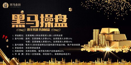 烟台网络公司黑马下拉