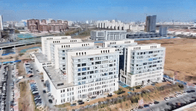 网络公司推荐,西青区网络行业动态