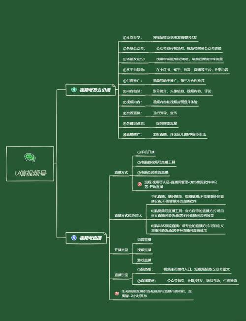短视频平台运营指南，如何建立一个高效、稳定的用户群体