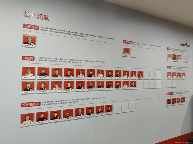 聚焦东莞米可网络，解析法人代表指南