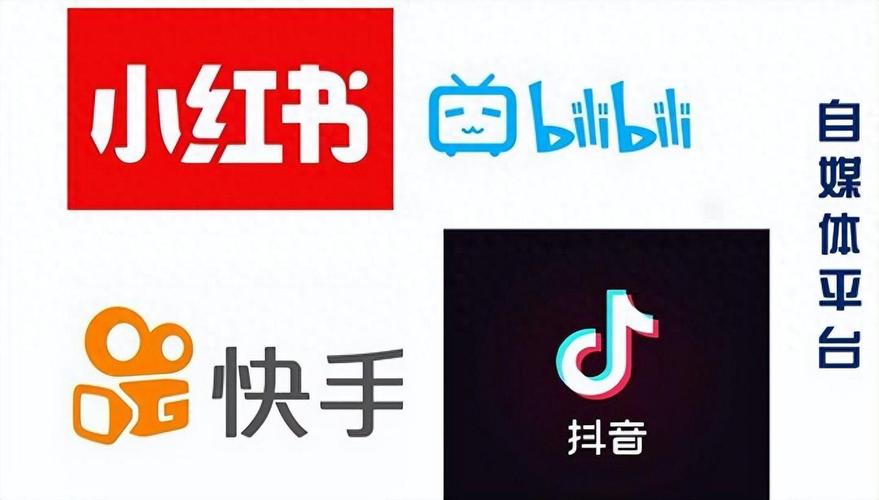 1.抖音手机浏览量软件，衡量用户观看量的关键工具