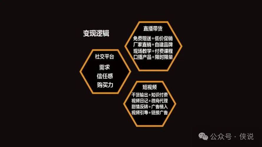 从快手到抖音，快速获取商业机会的高效策略