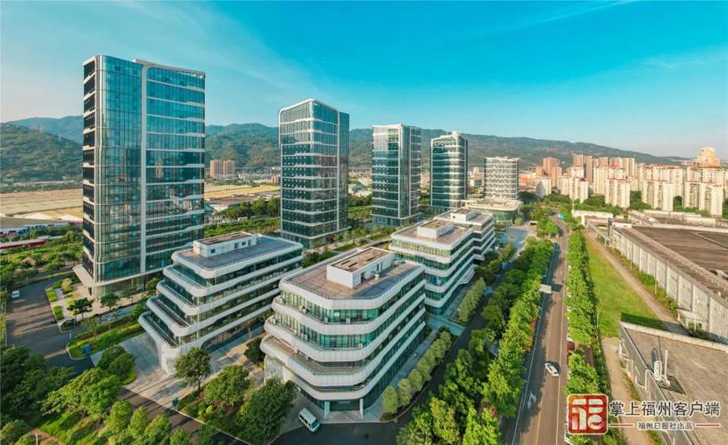 福州市专业技术网络，助力区域发展新引擎