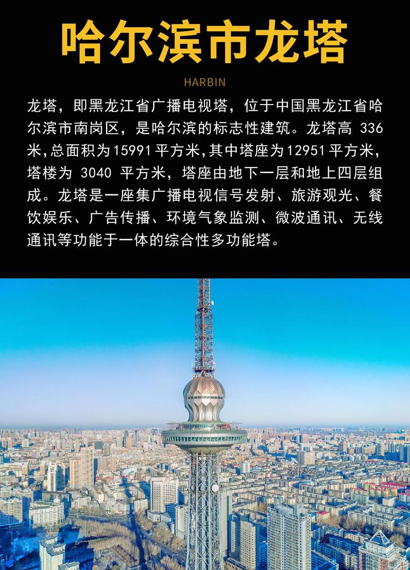 哈尔滨建设网站，专业平台，助力哈尔滨现代化建设