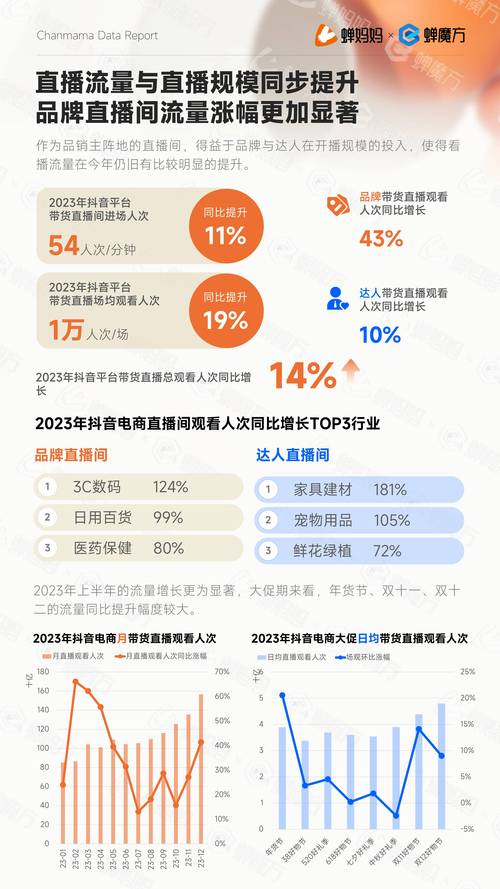 抖音浏览量的关键因素，用户活跃度、帖子质量与平台更新的平衡