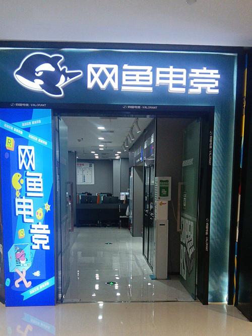 中山网络公司推荐，你不知道的网络平台