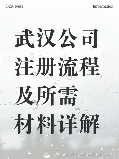 如何在武汉注册一个合法的网络公司？