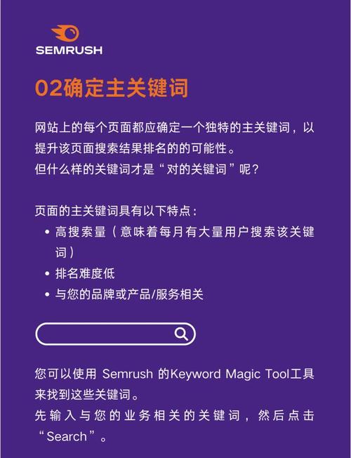 交易网站建设指南，从设计到优化，Everything You Need to Know