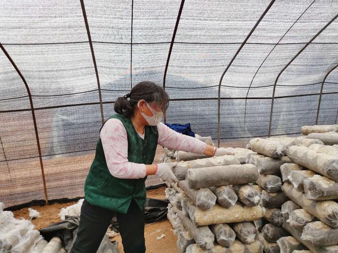 灵山铁山村，疫情最新动态与应对建议—一份实用指南