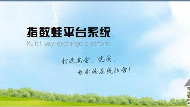 抖音赞自助平台，高效下单、精准分配的优质资源整合