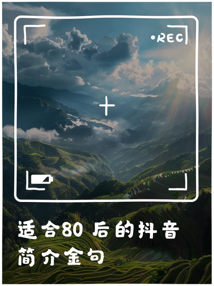一、抖音赞平台简介