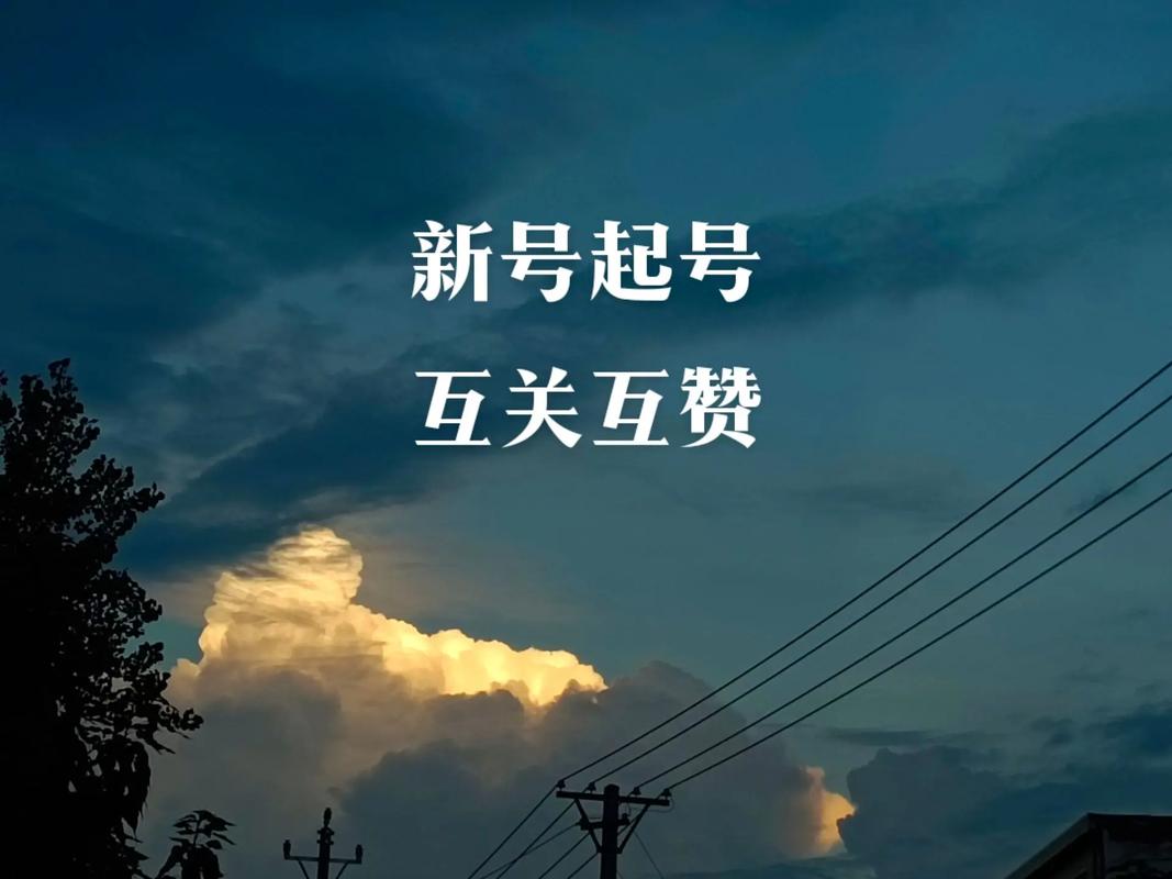 dy互赞，抖音上热门的亲密关系平台，为什么它能成为你避坑的避风港？