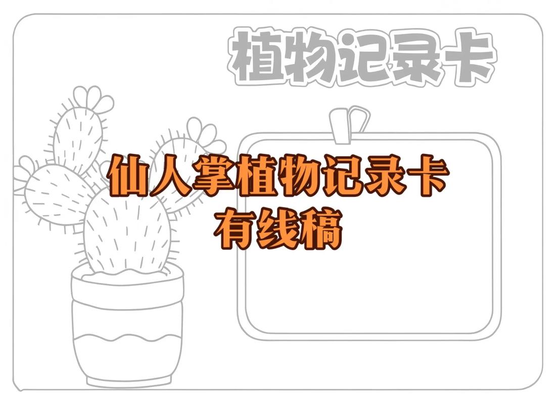 仙人掌的防辐射,从植物到制作