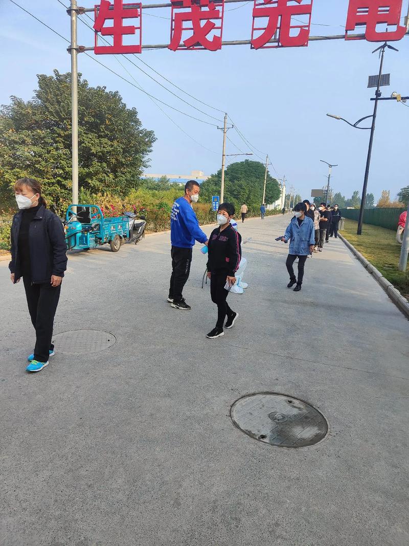 河南塔寨疫情最新动态，防控指南与应对策略