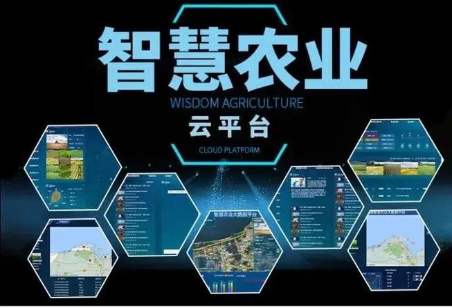 网络时代的智慧之选—厦门外云网络有限公司