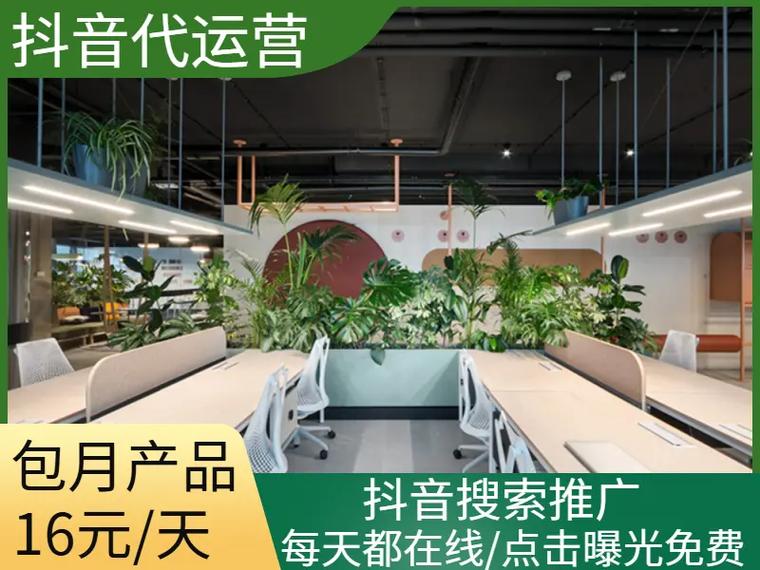 郑州网络公司推广电话,你的专业选择?