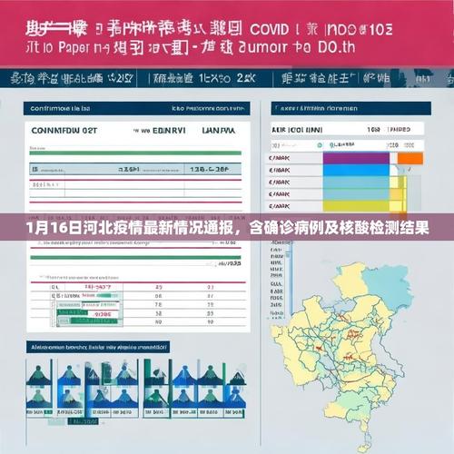 河北沧水疫情最新消息,疫情防控指南